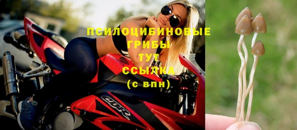дживик Верея