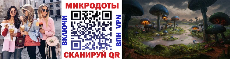 Купить где  Будённовск  Галлюциногенные грибы Psilocybine cubensis 
